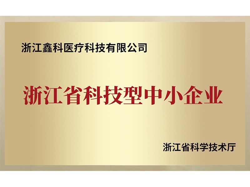 Zhejiang Technology-based SME